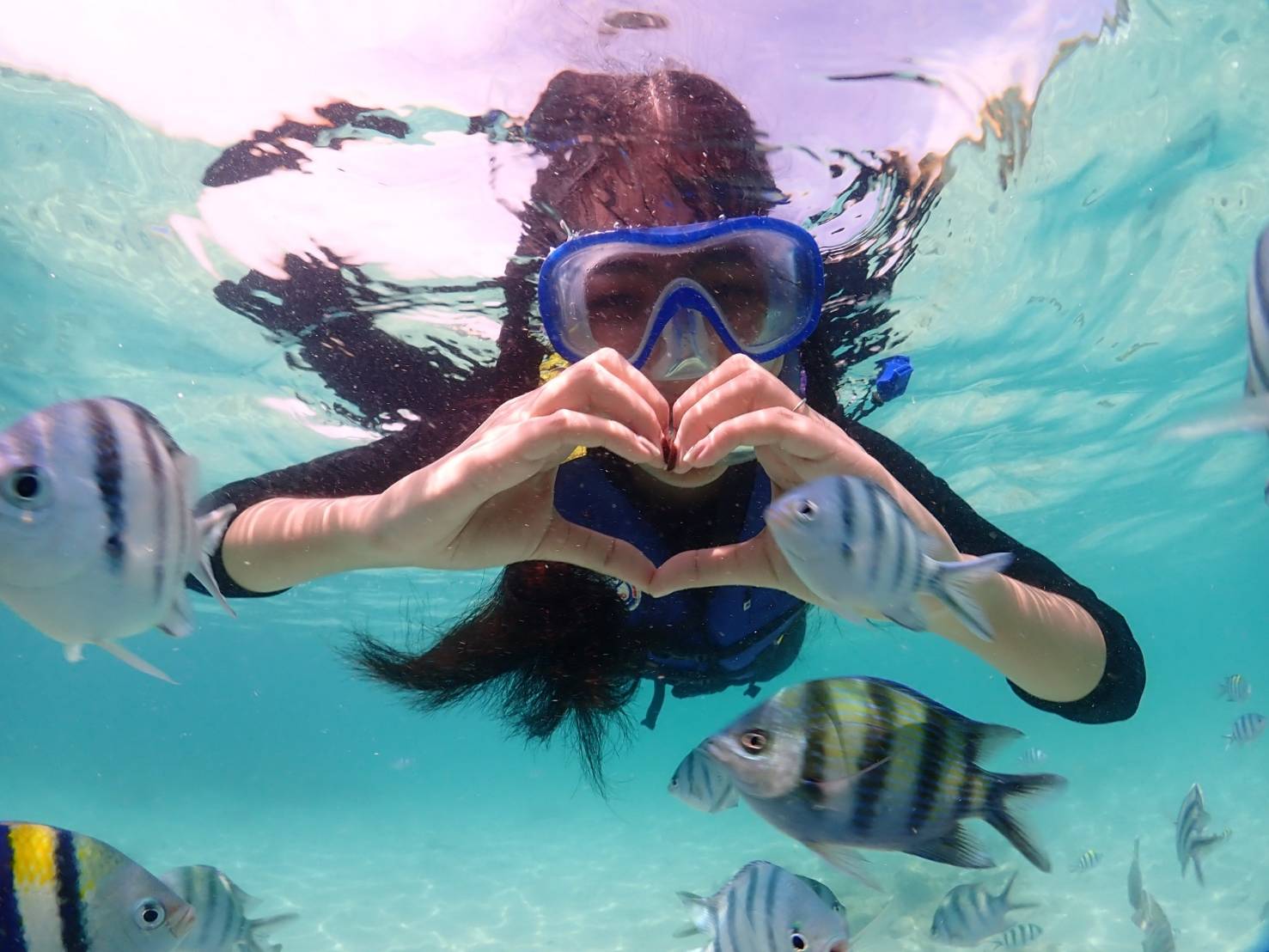 Finding Nemo แสมสาร