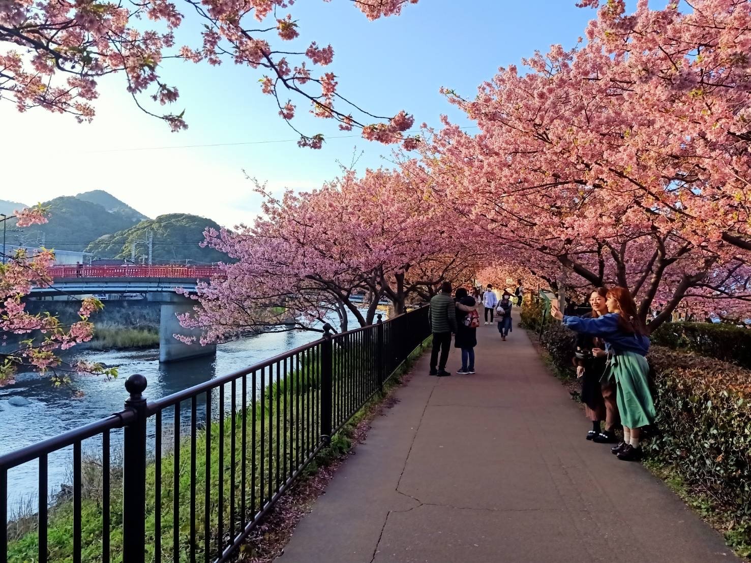 Japan Disneyland